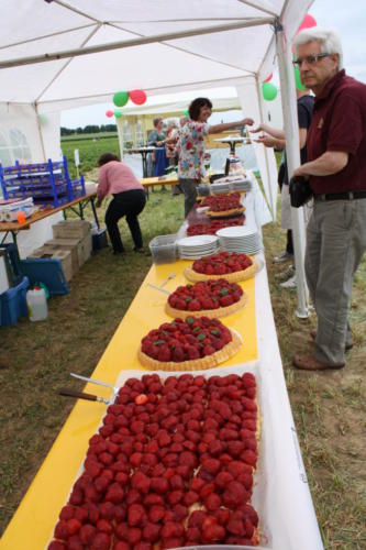 1 Erdbeerfest - 2010 - Bild 7