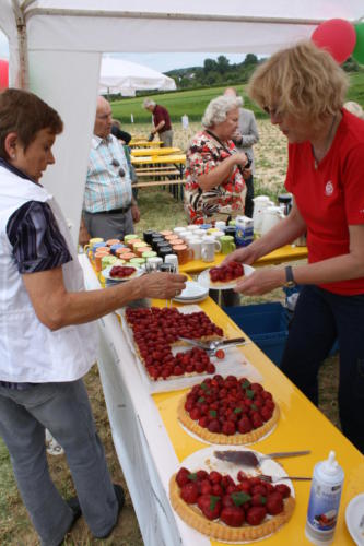 1 Erdbeerfest - 2010 - Bild 8